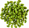 Фисташки зеленые Иран